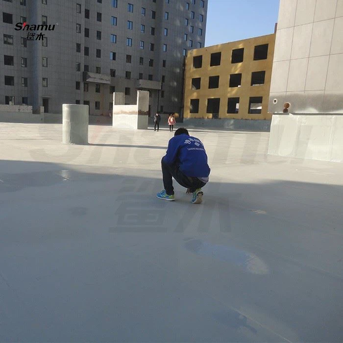 Polyurea Roof Coating